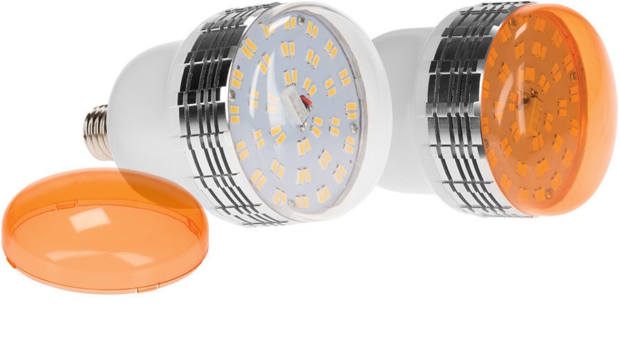 Westcott Daylight LED Bulb with Tungsten Cover (35-watt)
