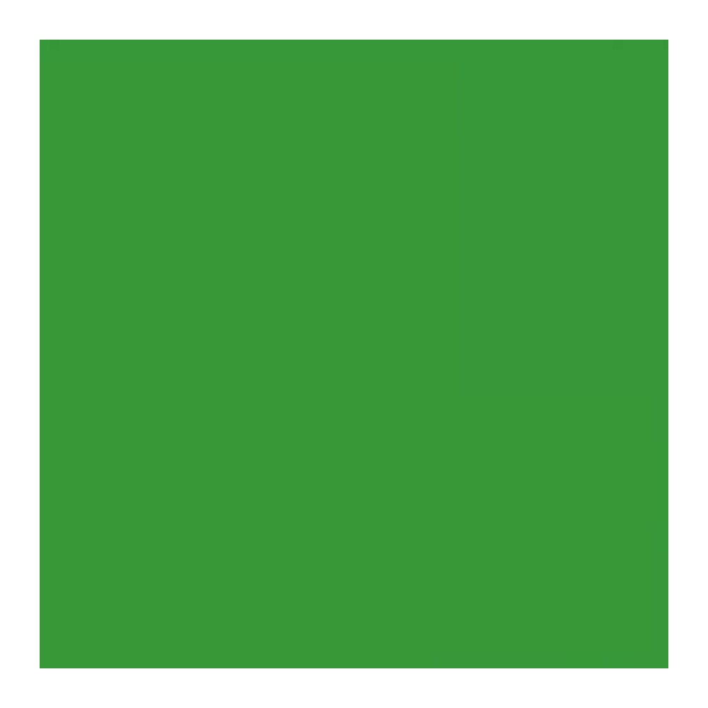 Savage Widetone Seamless Background Paper (#46 Tech Green, 107-Inch x 36-Feet)
