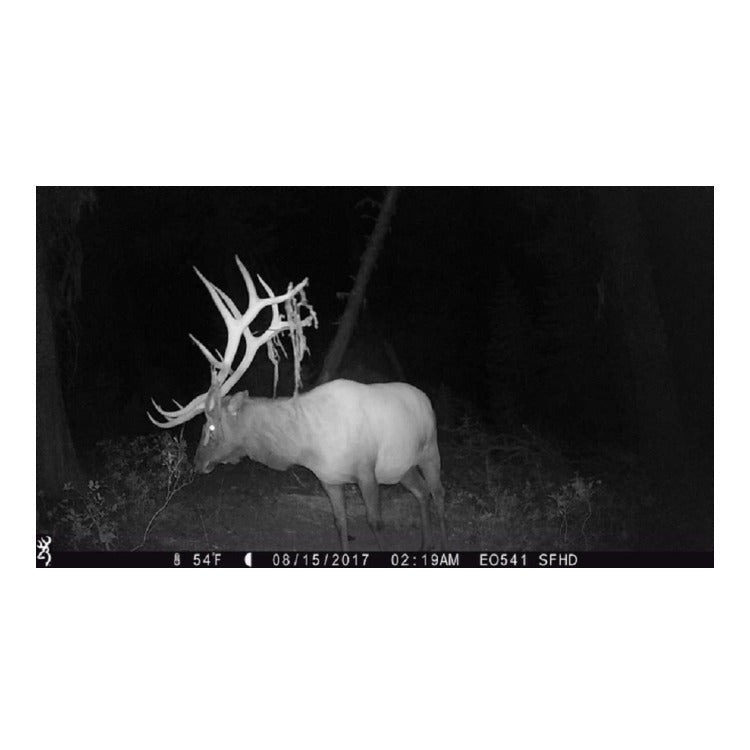 Browning Trail Cameras Strike Force Extreme 16MP Game Camera