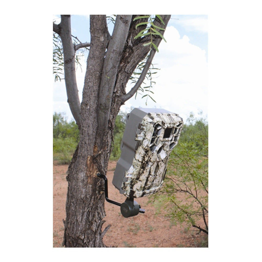 Stealth Cam Browtine 14MP Camera (6-Pack) Bundle