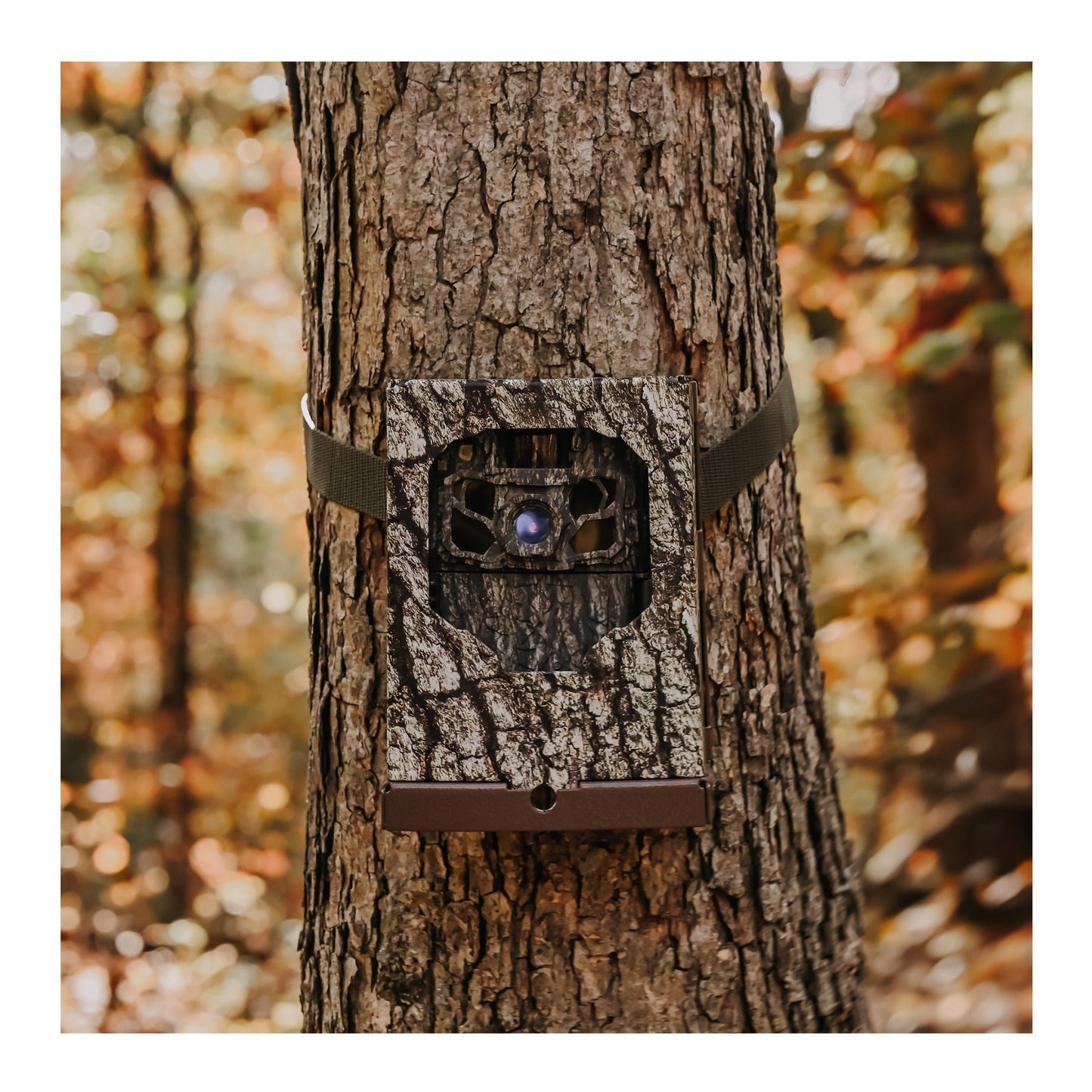 Browning Trail Cameras - Dark Ops FHDR 40MP Bundle (2-Pack)