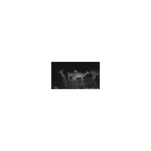 Wildgame Innovations Terra Extreme 14MP Camera with SD Card and High-Speed Card Reader