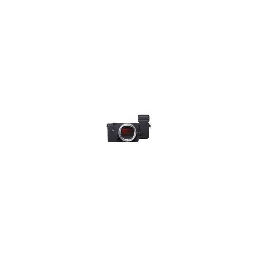Sigma fp L Digital Camera with Electronic Viewfinder EVF-11 with External Hard Drive and Memory Card