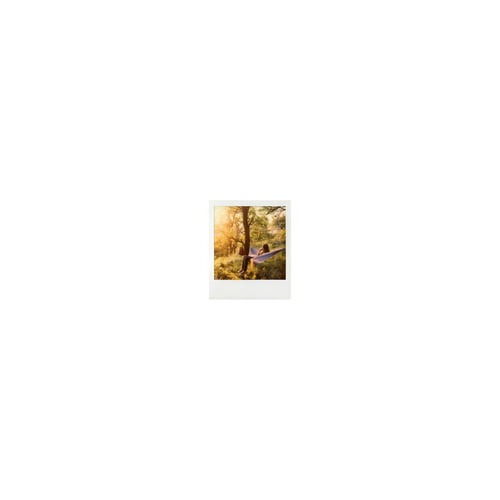 Polaroid Originals Classic Color Instant Film for SX-70 Cameras (8 Exposures)