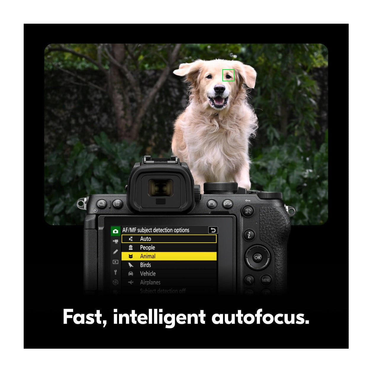Nikon Z5II Full Frame Mirrorless Camera with Z 24-70mm F4 S Lens 4K UHD 24.5MP AI Autofocus (Black)