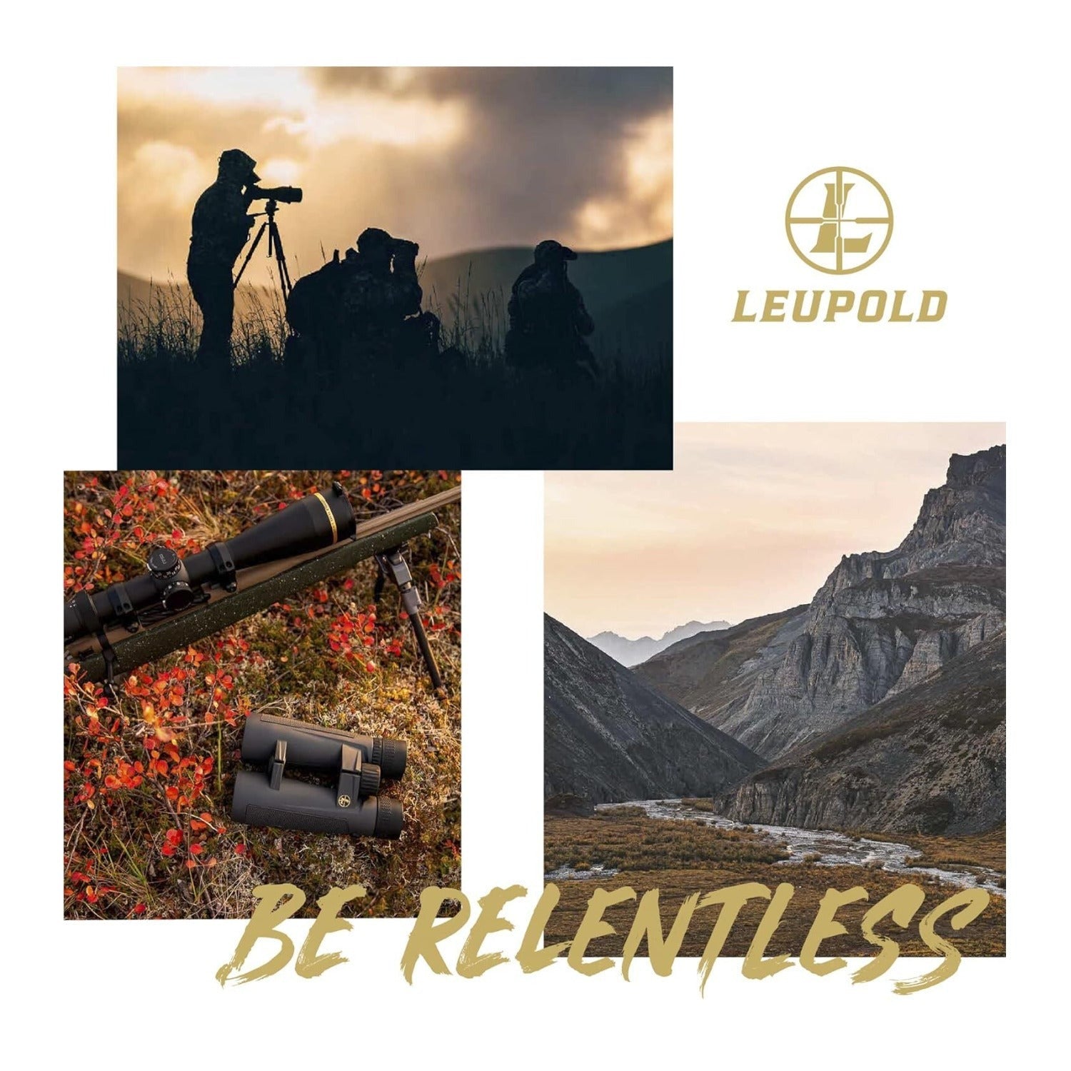 Leupold DeltaPoint Pro Reflex Sight