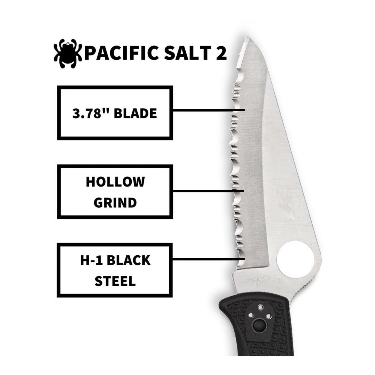 Spyderco Pacific Salt 2, 8.72-Inch Lightweight Folding Knife with Black Handle
