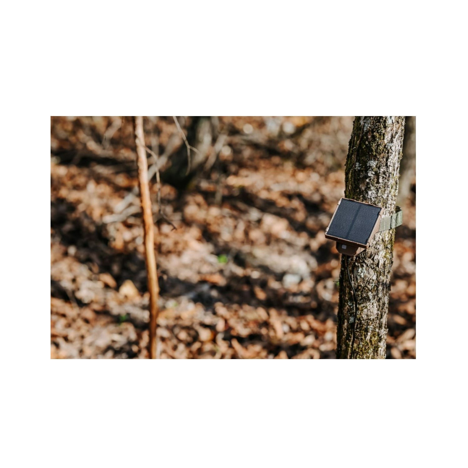 Browning Trail Cameras Universal Solar Camera Power Pack (10-Pack) with Card Reader Bundle