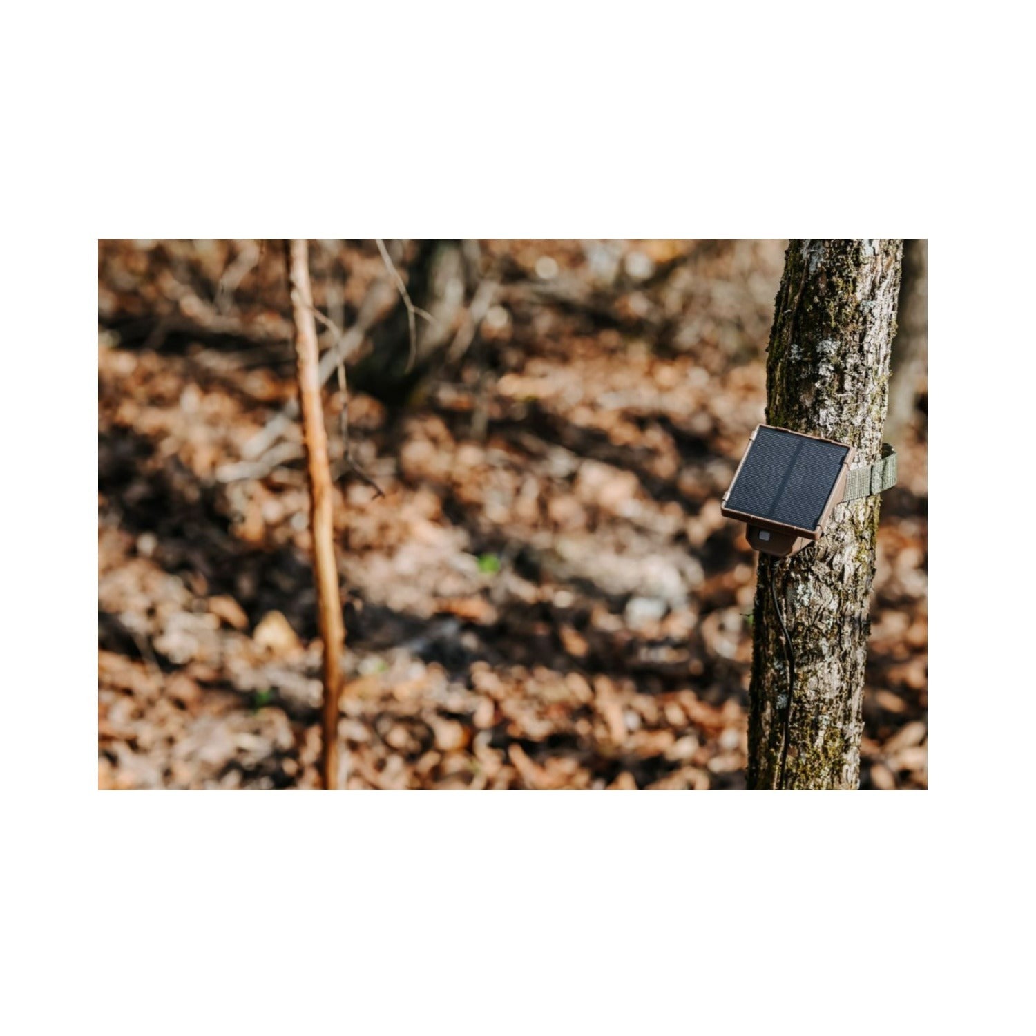 Browning Trail Cameras Universal Solar Camera Power Pack (6-Pack) with Card Reader Bundle
