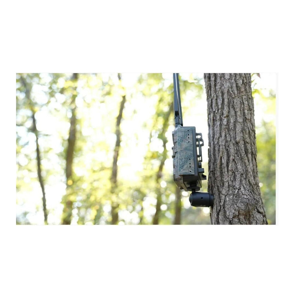 Slow Glow Maverick Infinity Camera Tree Mount (2-Pack) Bundle with Card Reader