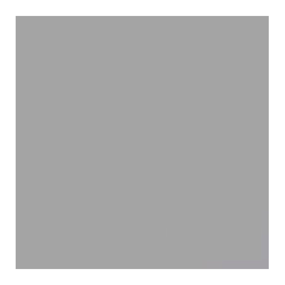 Savage Widetone Seamless Background Paper (#9 Stone Gray, 107-Inch x 36-Feet)