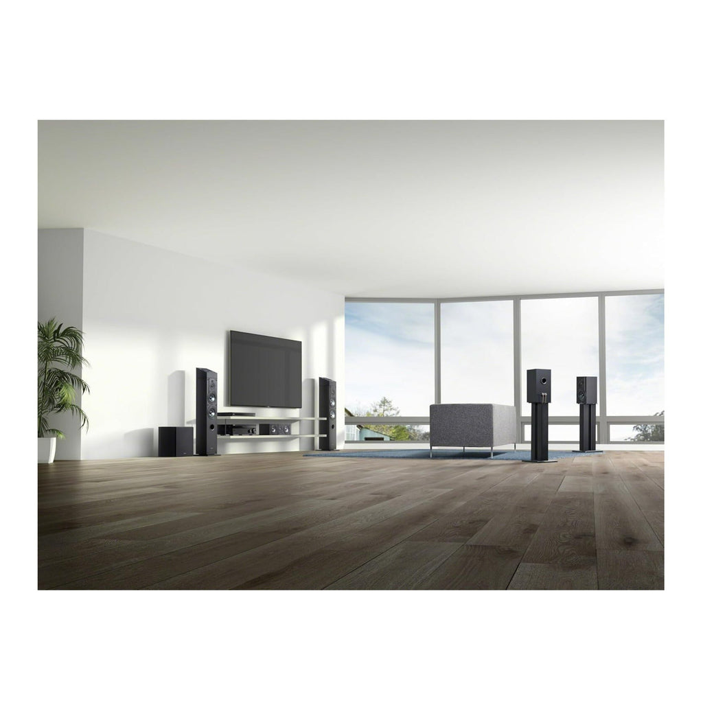 Sony SA-CS9M2 10-Inch Powered Active Subwoofer (Black)