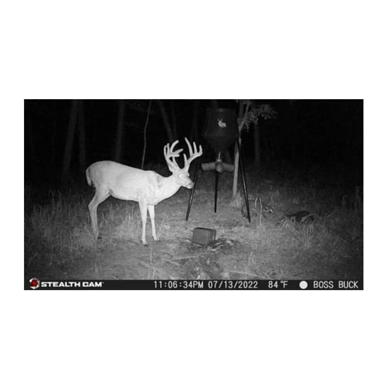 Stealth Cam G42NG No-Glo Trail Camera 4-Pack Ready-to-Go Accessory Bundle
