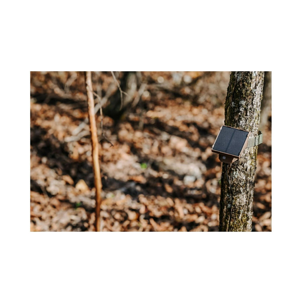 Browning Trail Cameras Universal Solar Camera Power Pack (8-Pack) with Card Reader Bundle