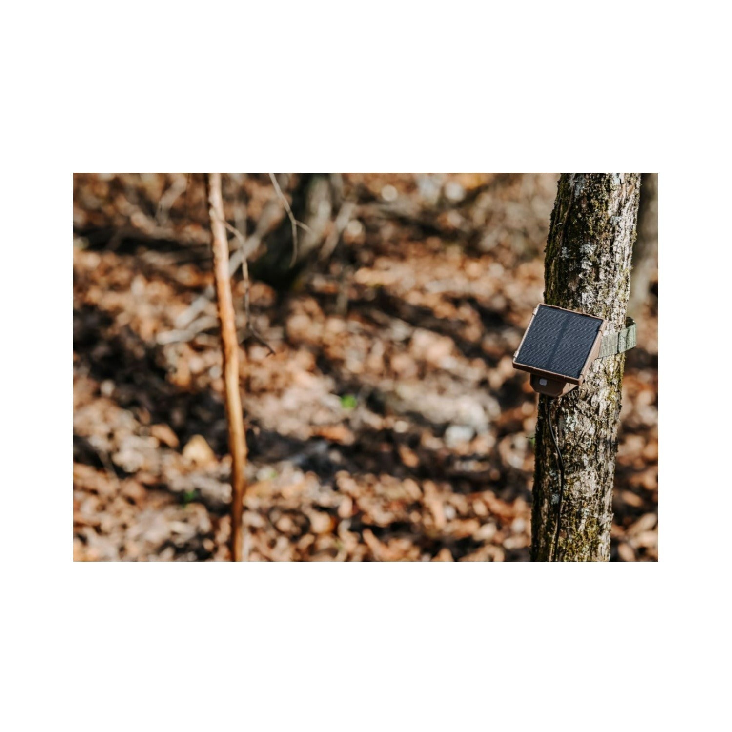 Browning Trail Cameras Universal Solar Camera Power Pack (8-Pack) with Card Reader Bundle
