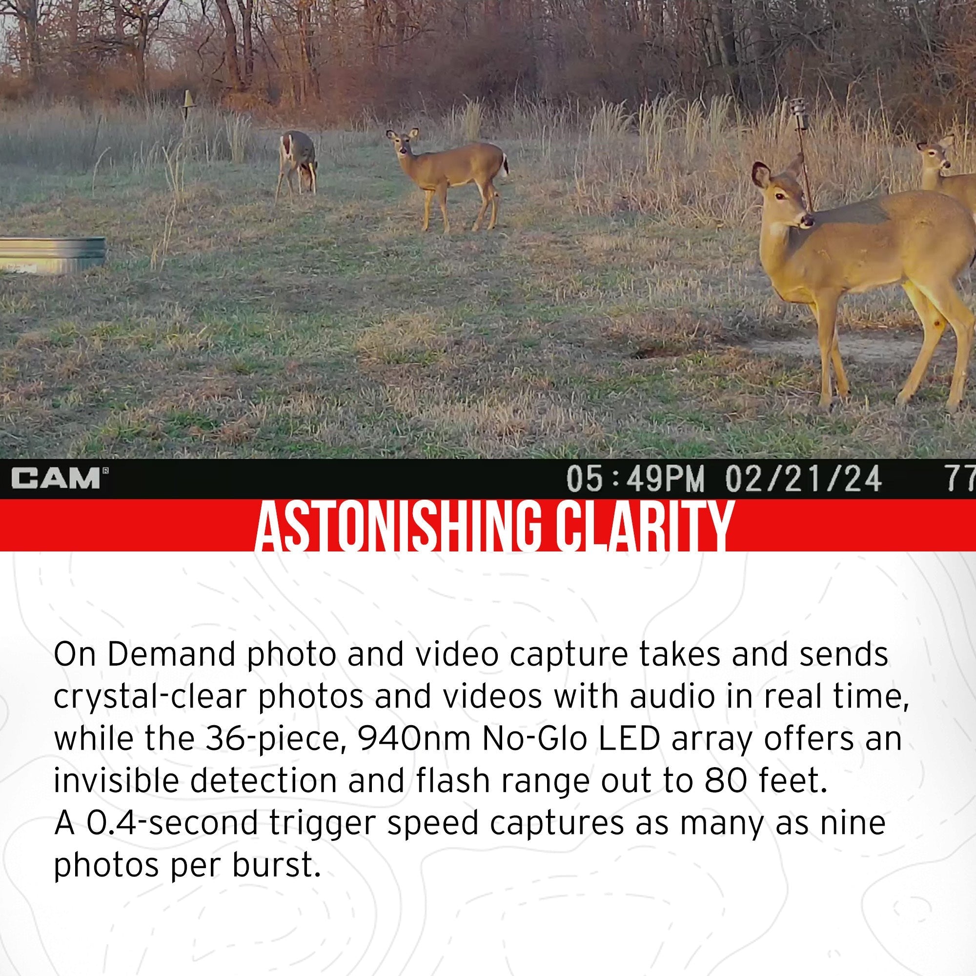 Stealth Cam 40MP Deceptor Max Cellular Trail Camera 2-Pack with Fieldmax Lithium 2-Pack Bundle