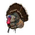 Montana Decoy Wiley Tom 3D Turkey Decoy - Ultralight Collapsible 3D Design