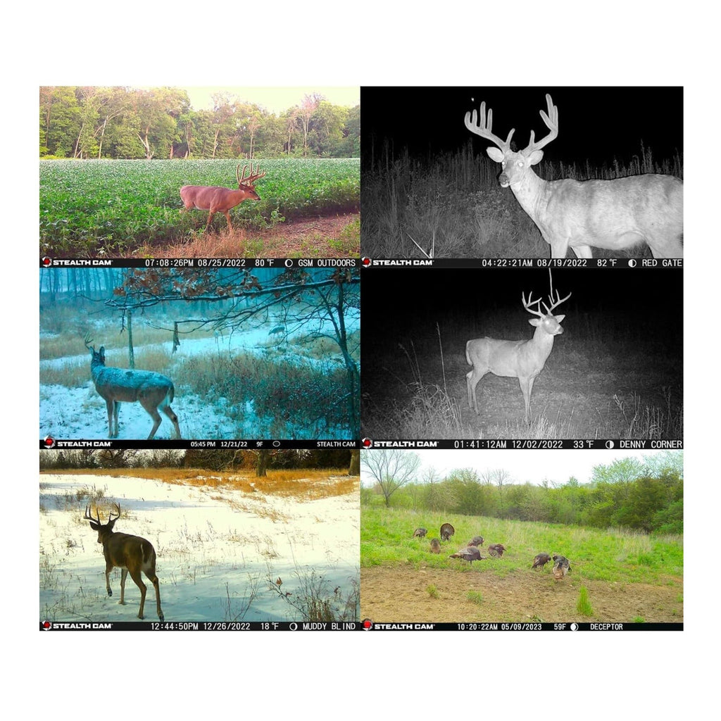 Stealth Cam Deceptor Dual Network Trail Camera (2 Pack) Bundle with Accessories