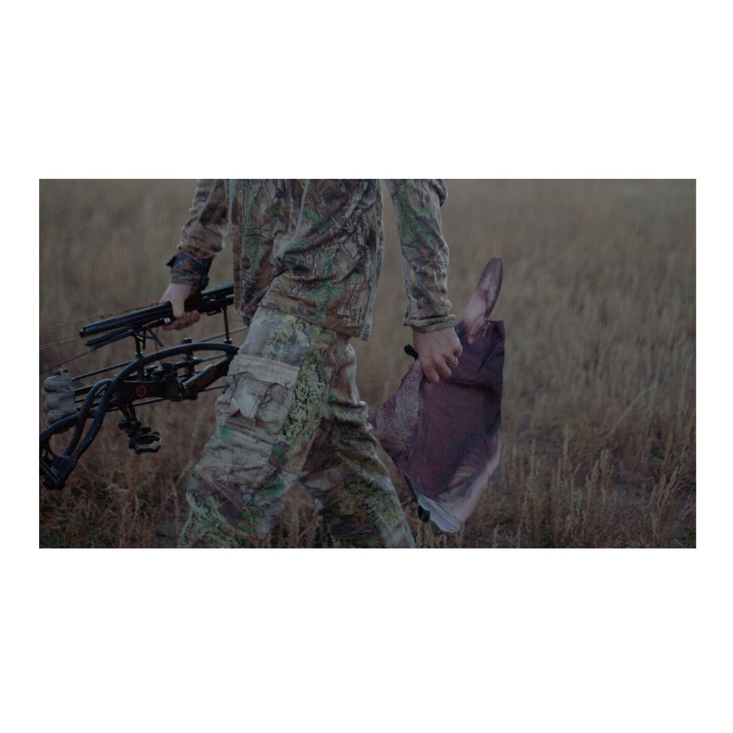 Montana Miss September Feeding Elk Decoy - Realistic Pose for All-Season Hunting