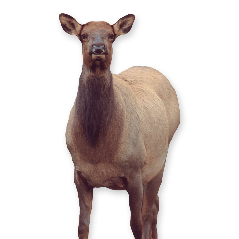 Montana Decoy Eichler Elk Ultra-Portable Full-Body Bundle with Carrier