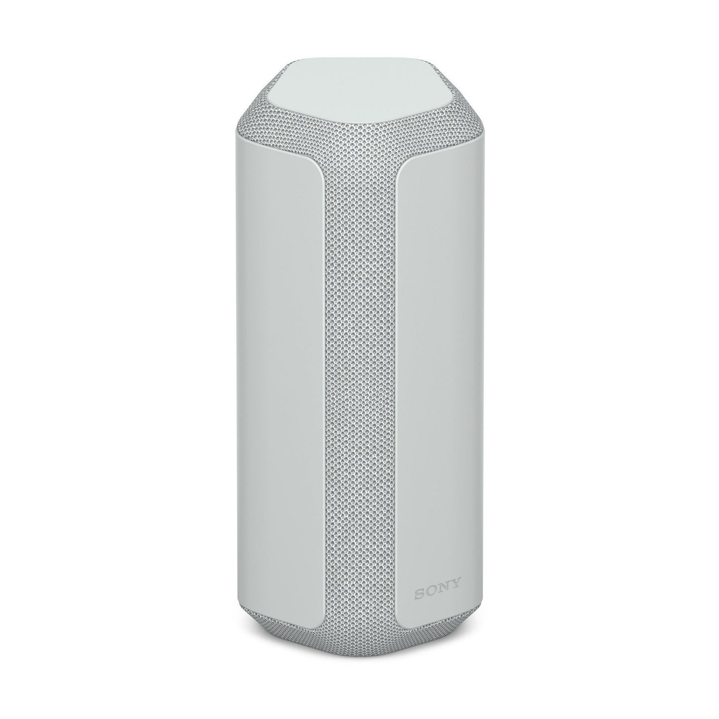 Sony SRS-XE300 X-Series Wireless Portable Bluetooth Speaker (Gray) with Case