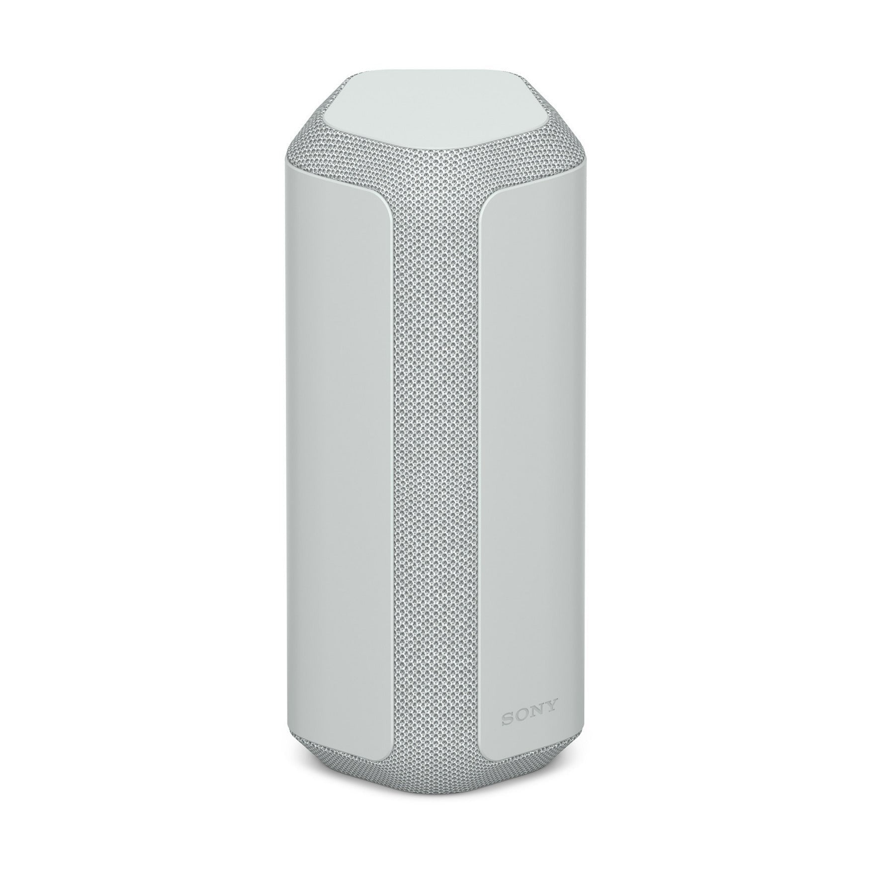 Sony SRS-XE300 X-Series Wireless Portable Bluetooth Speaker (Gray) with Case