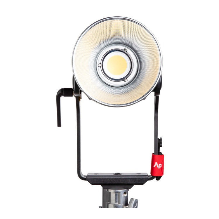 Aputure LS 600d Daylight LED Monolight (V-Mount) with C-Stand, F10 Barndoors, Light Dome III