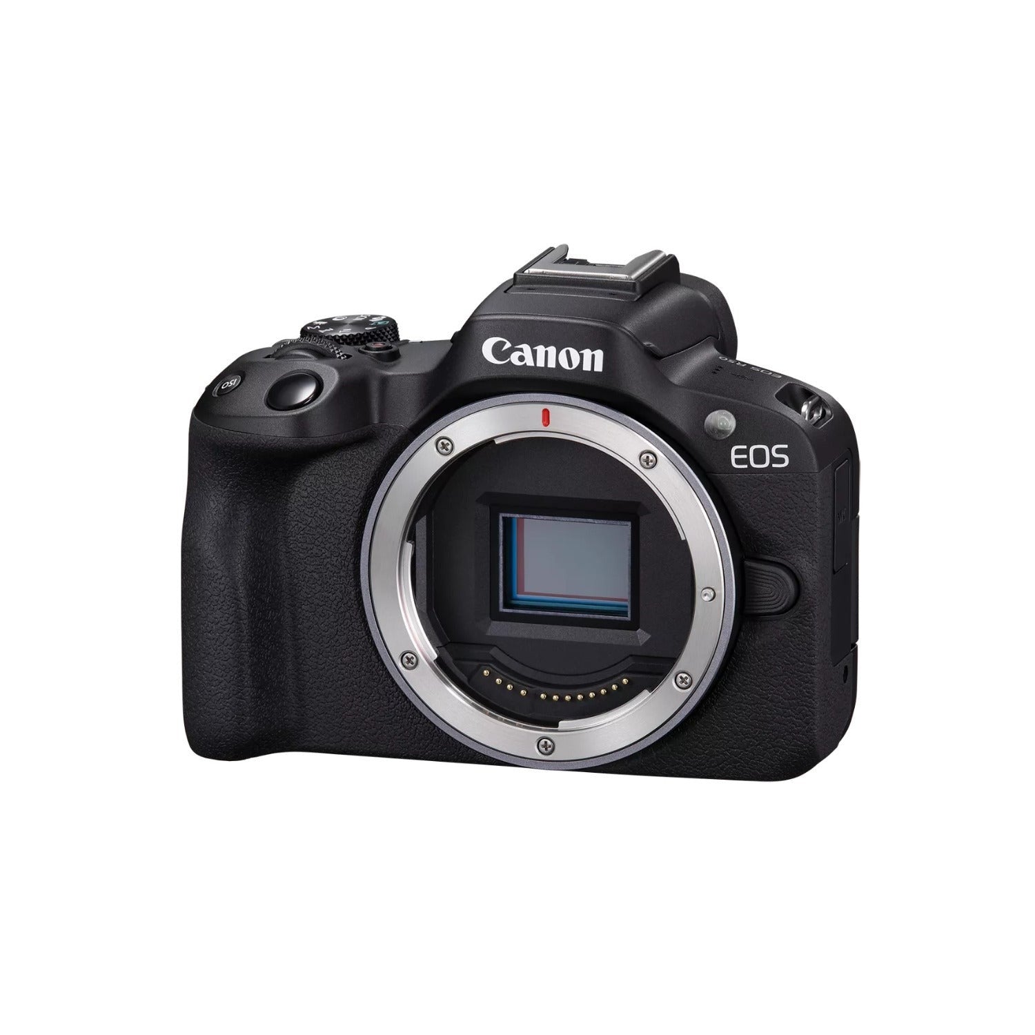 Canon EOS R50 Body with Cropping Guide Firmware and 24.2MP APS-C Sensor (Black)