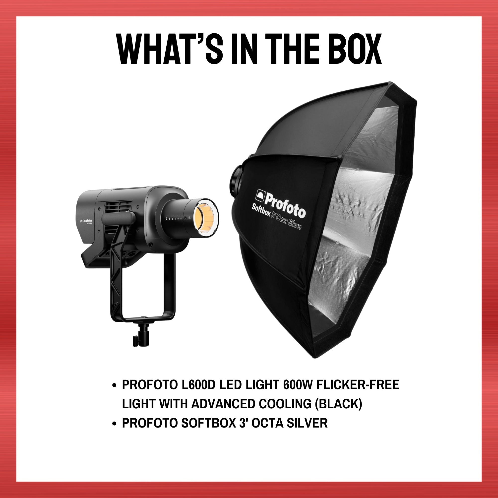 Profoto L600D LED Light 600W Flicker-Free Light with Softbox 3 ft. Octa Silver