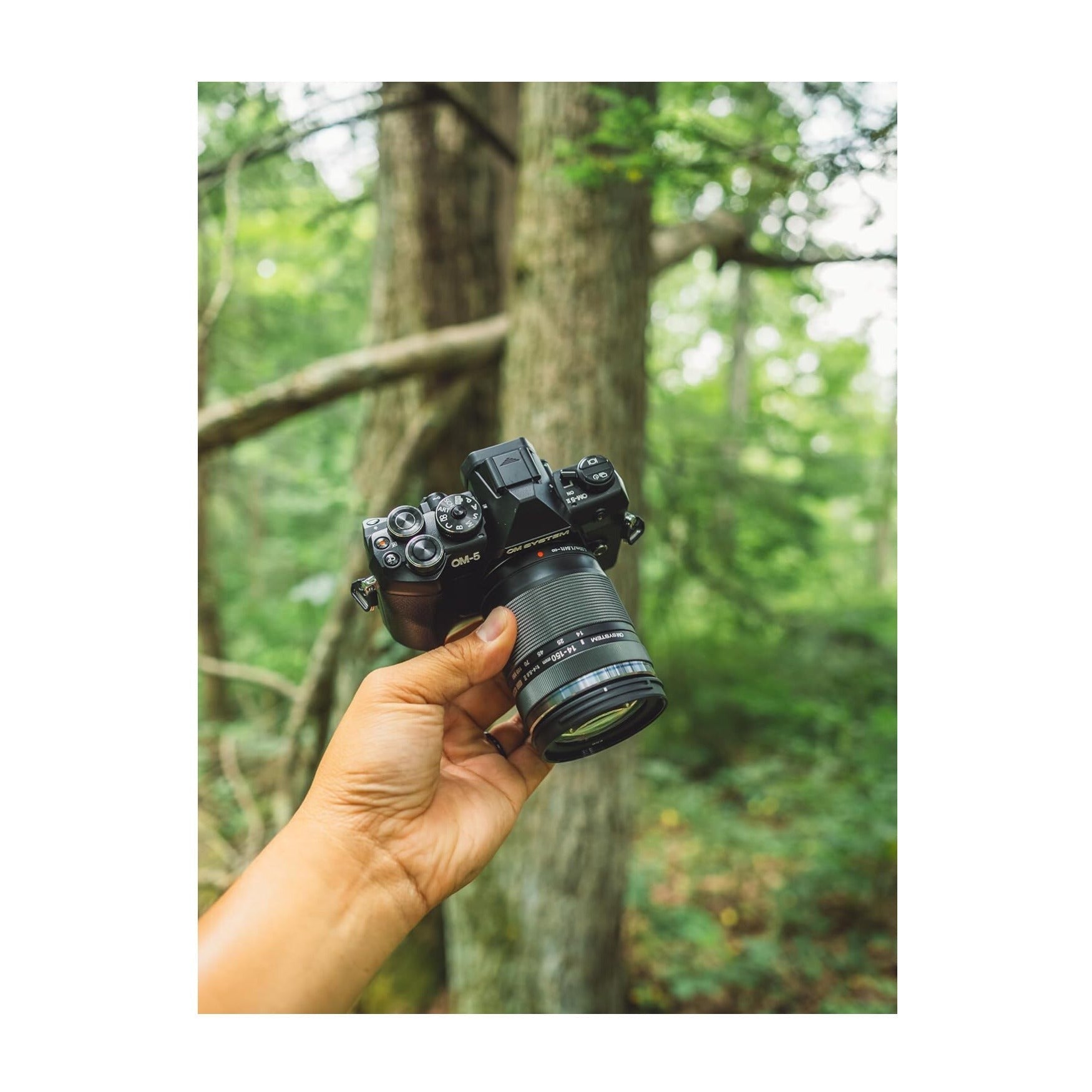 OM SYSTEM OM-5 Mark II Mirrorless Camera with 14-150mm f/4-5.6 II Lens (Black)