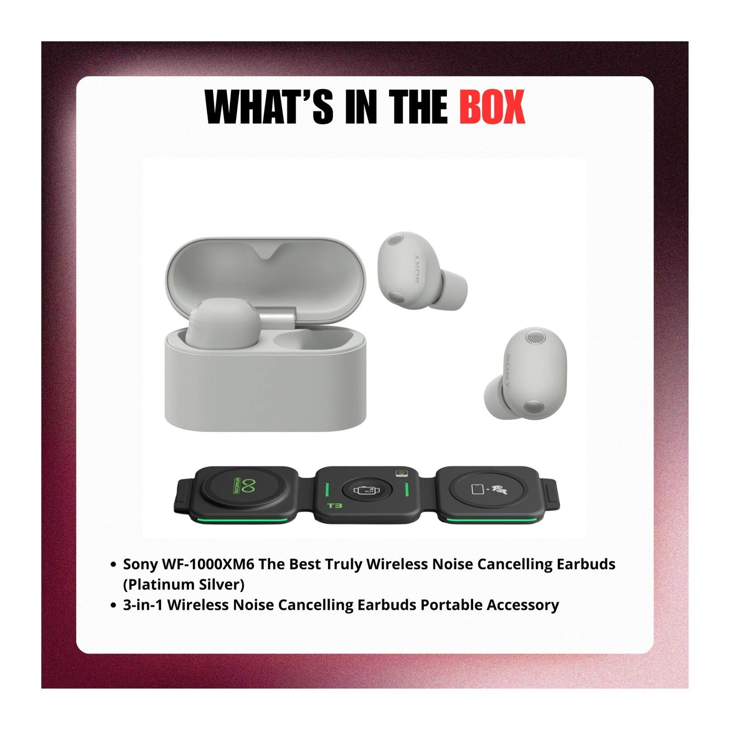 Sony WF-1000XM6 Wireless Earbuds (Platinum Silver) with 3in1 Portable Accessory