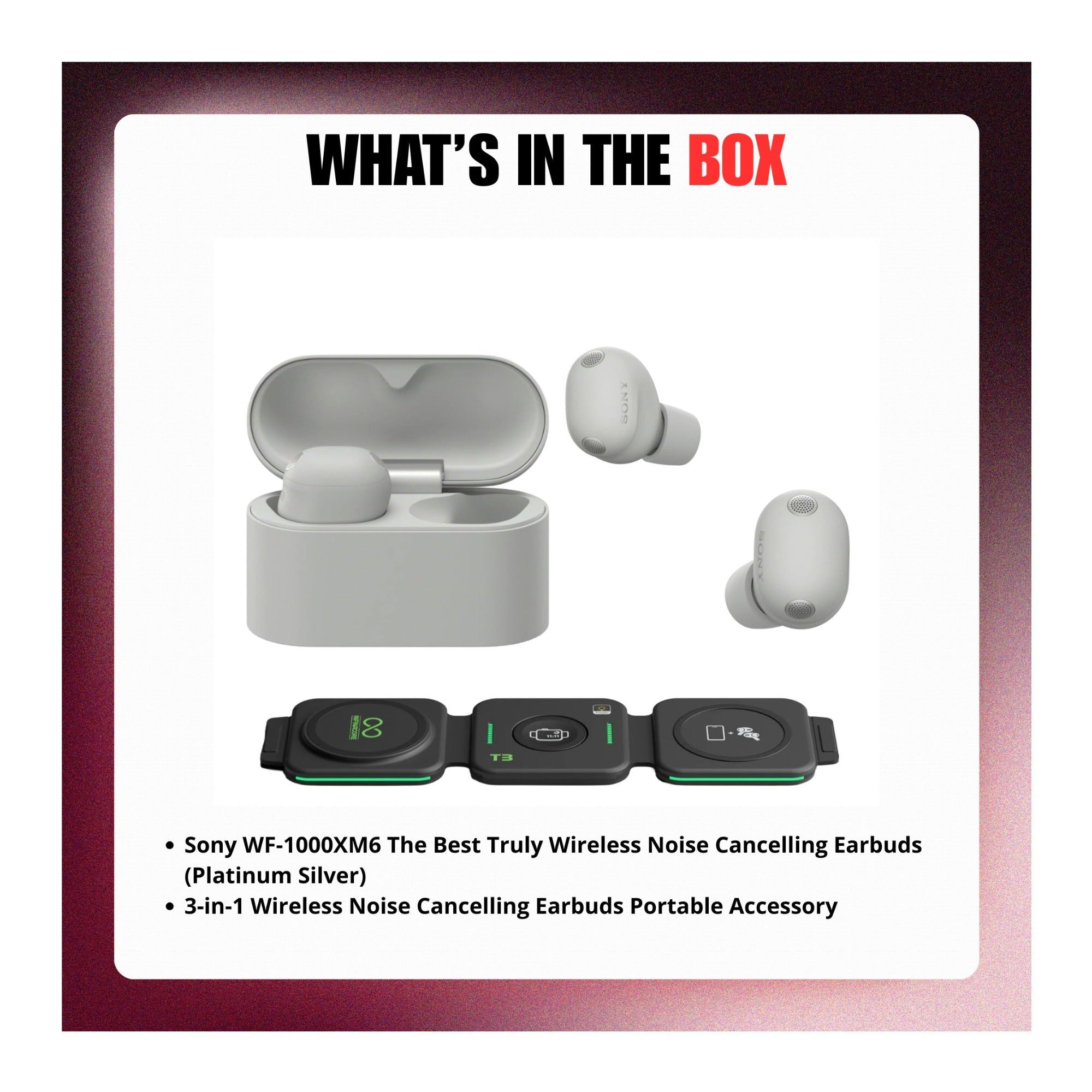 Sony WF-1000XM6 Wireless Earbuds (Platinum Silver) with 3in1 Portable Accessory