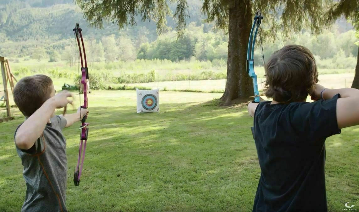 Genesis Archery Original Compound Bow (Left Hand, Black) and Six Arrows