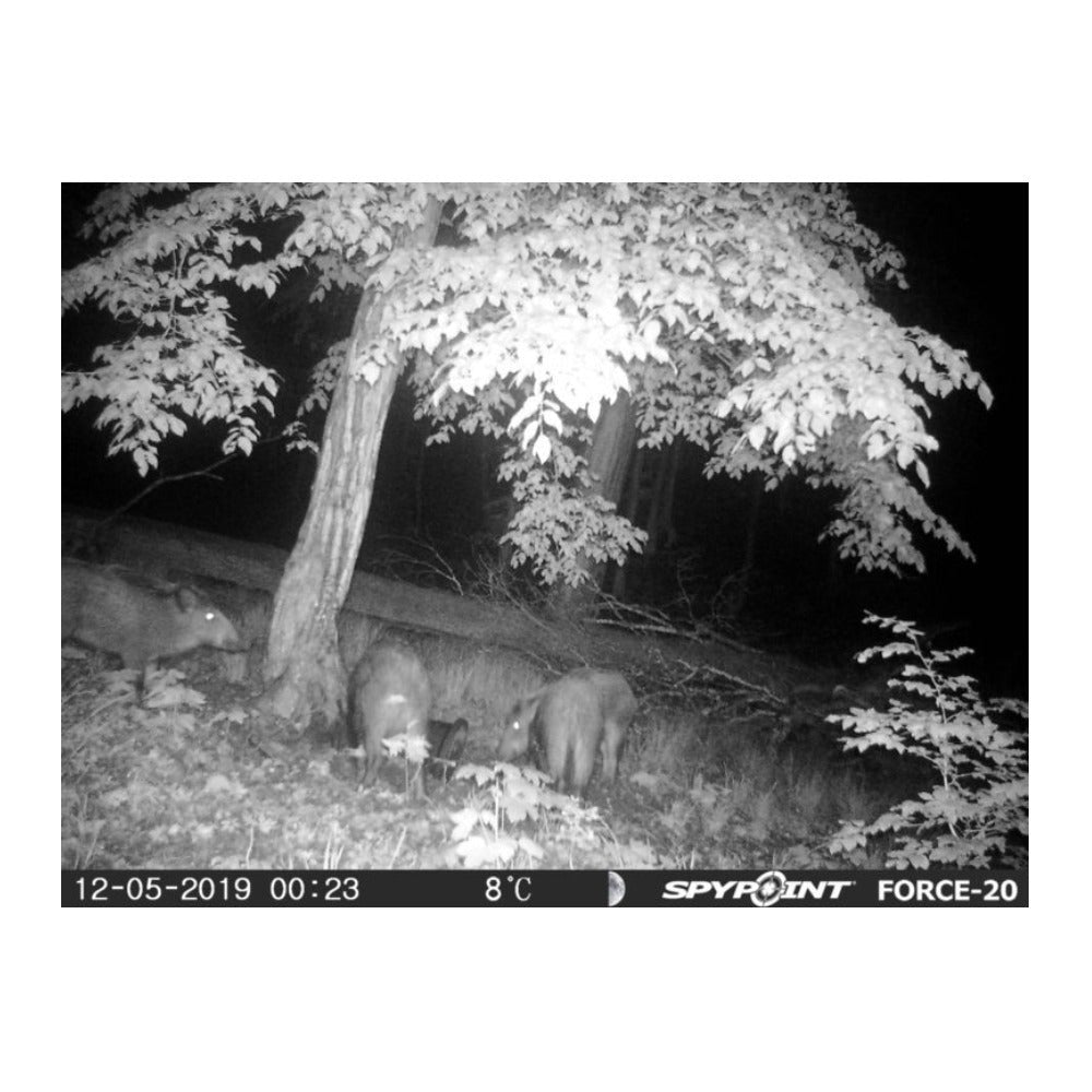 Spypoint FORCE-20 Trail Camera For Beginners With 16 GB SD Card (Brown)