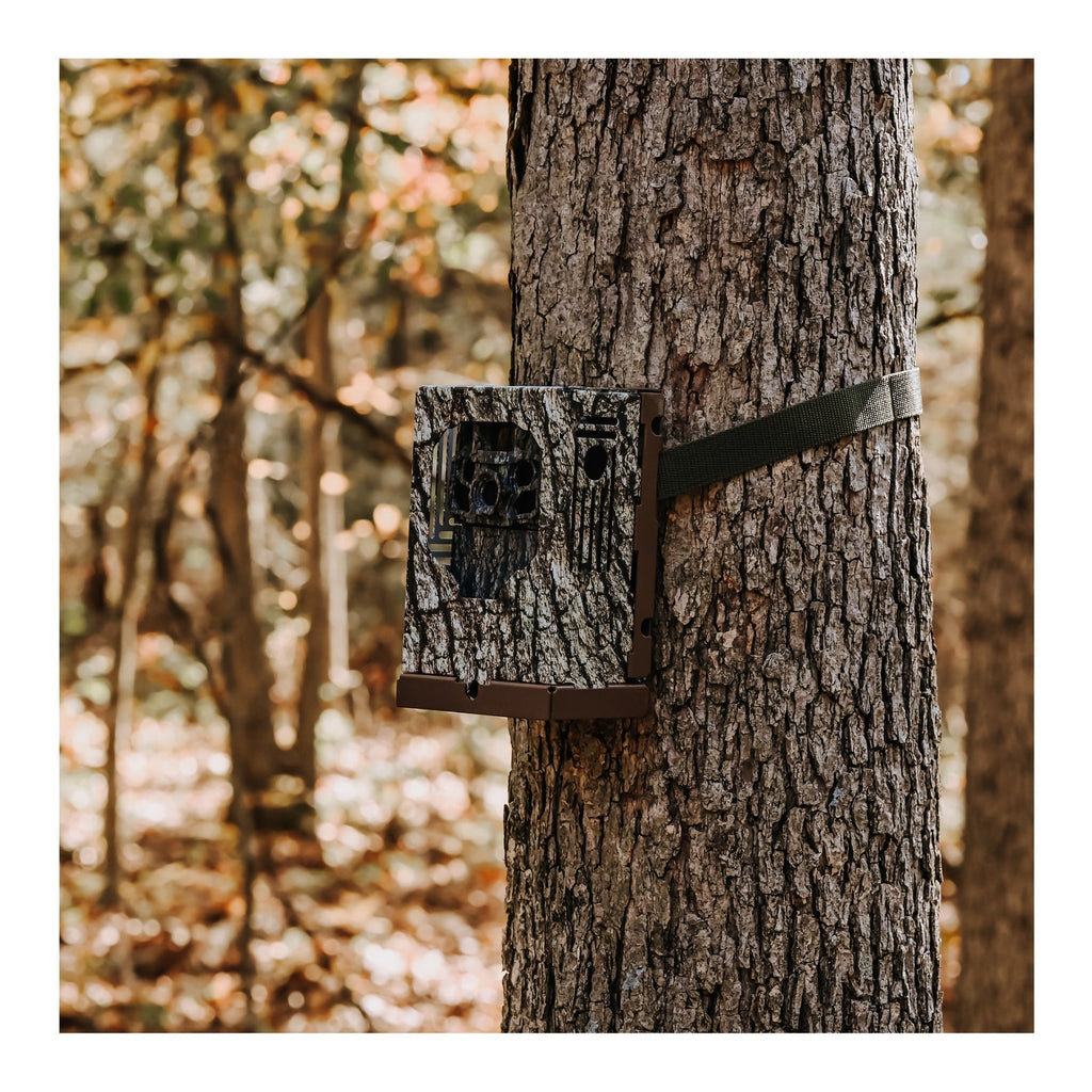 Browning Trail Cameras - Dark Ops FHDR40 with 32GB Memory Card and Card Reader