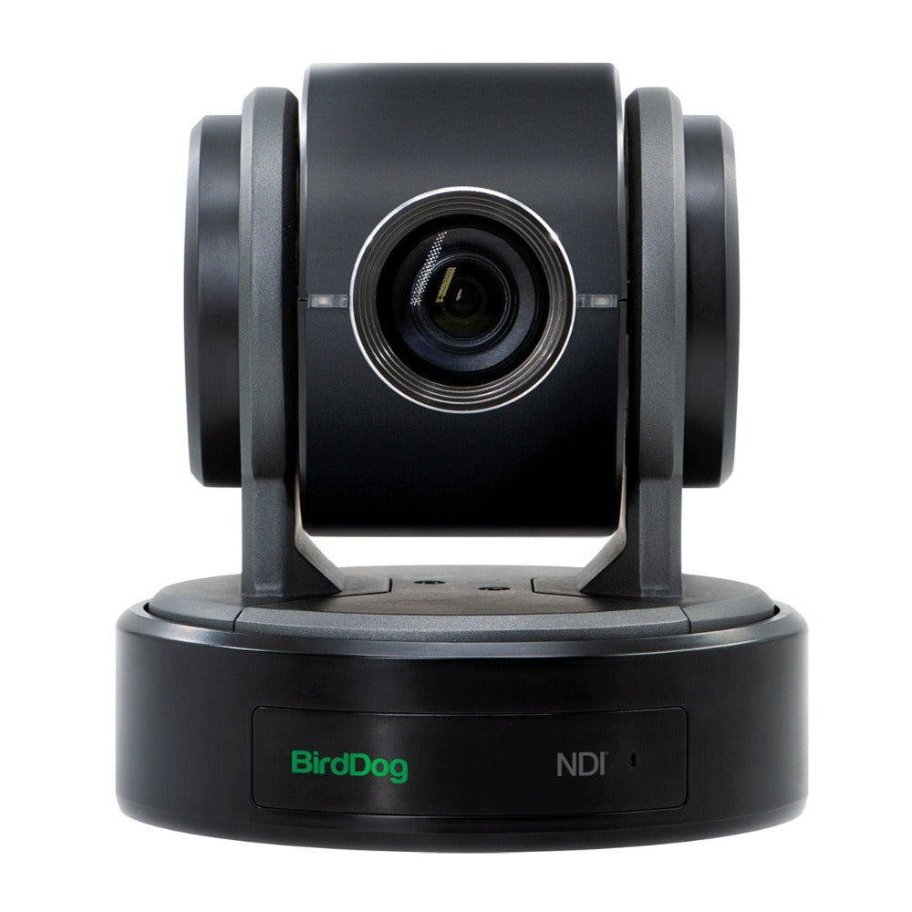 BirdDog Eyes P100 1080P Full NDI PTZ Camera with SDI Interface (Black)