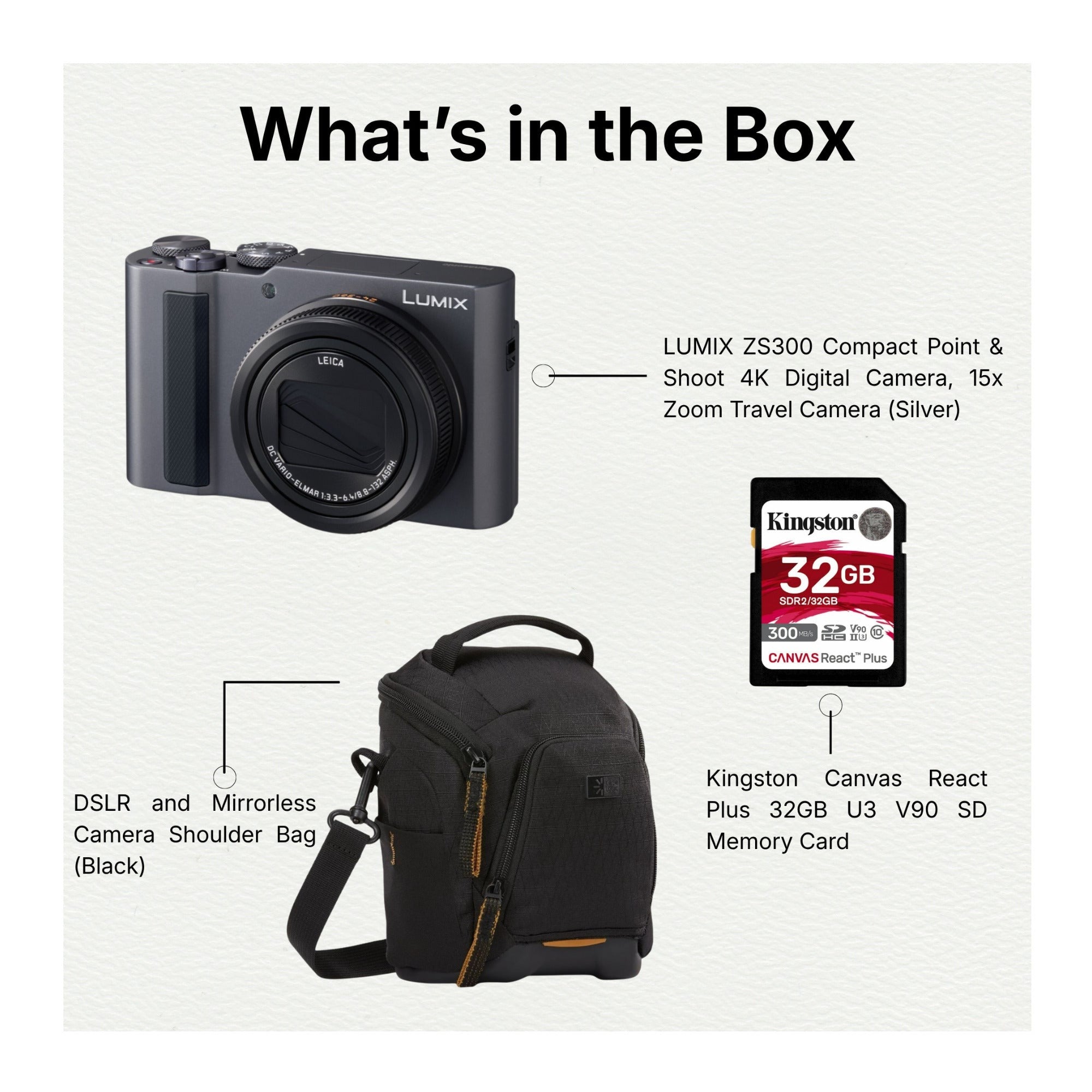 LUMIX ZS300 Compact Point and Shoot 4K Digital Camera (Silver) with Accessories
