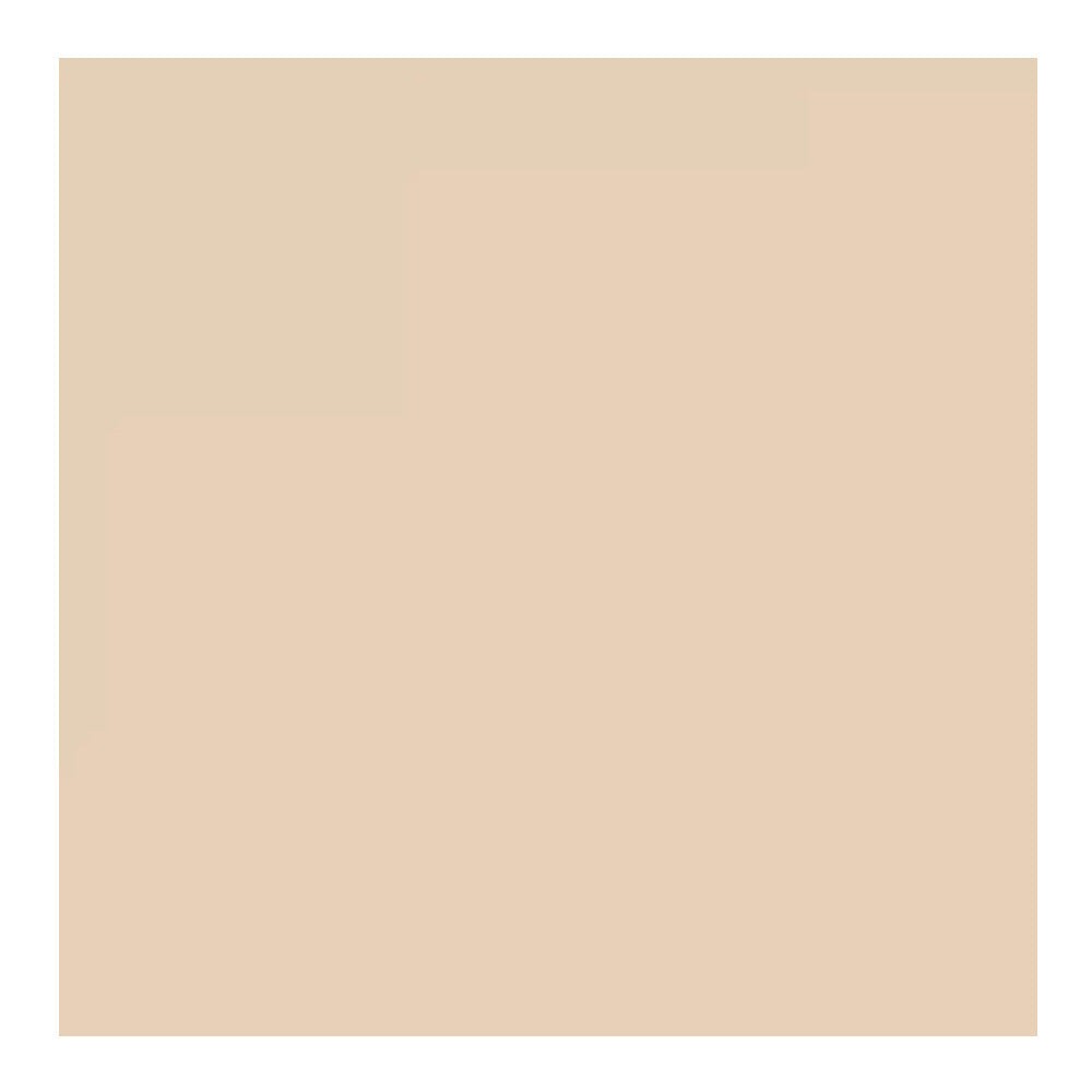 Savage Widetone Seamless Background Paper (#19 Egg Nog, 53-Inch x 36-Feet)