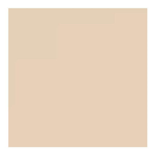Savage Widetone Seamless Background Paper (#19 Egg Nog, 53-Inch x 36-Feet)