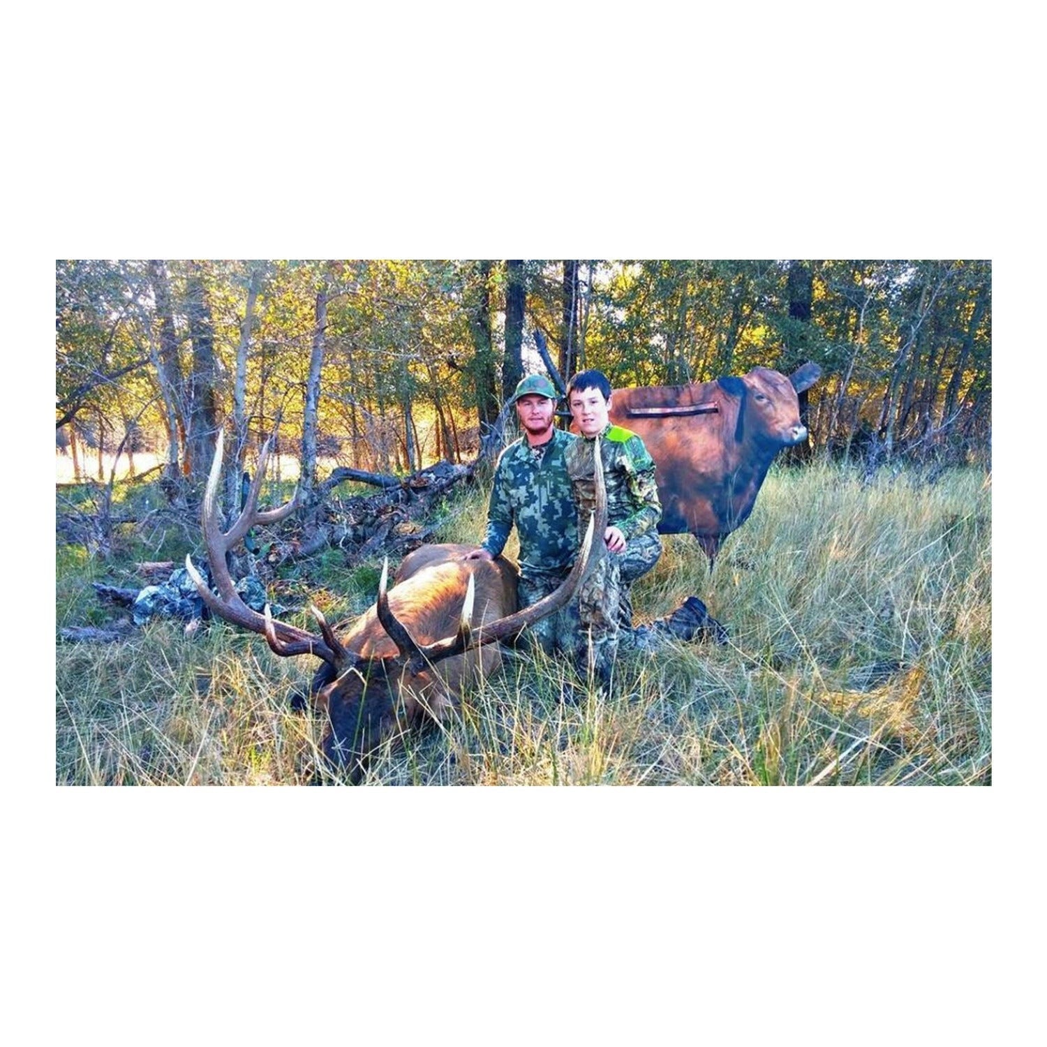 Montana Big Red Moo Cow Decoy with Large Cover Shield and See-Through Mesh
