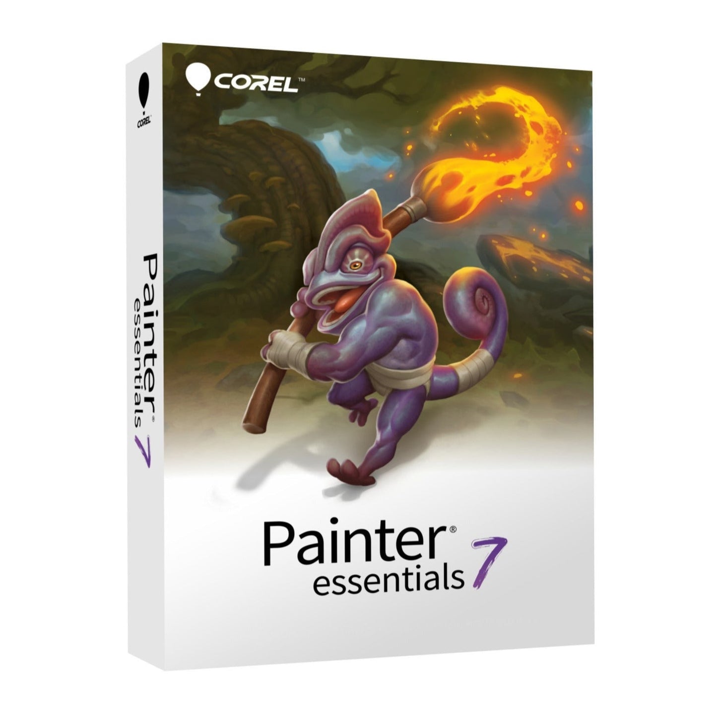 Corel Photo, Video, and Art Software Suite v4.0