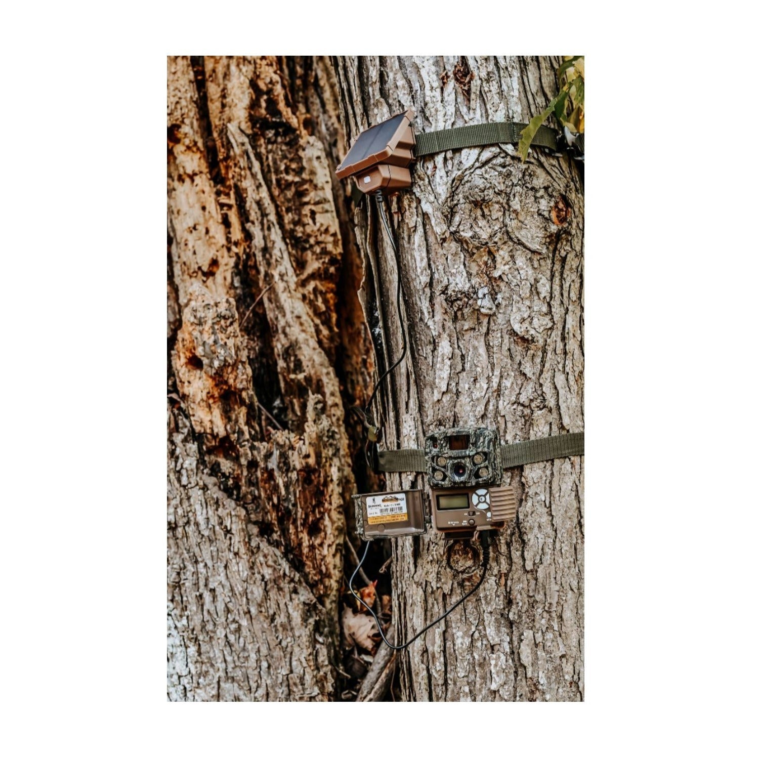 Browning Trail Camera Defender Wireless Pro Scout Max HD-DV (4-Pack) Bundle