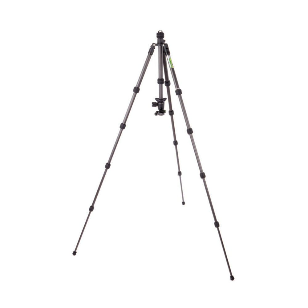 3 Legged Thing Punks Brian 2.0 Carbon Fibre, Stable, Compact, and Lightweight Tripod (Black)