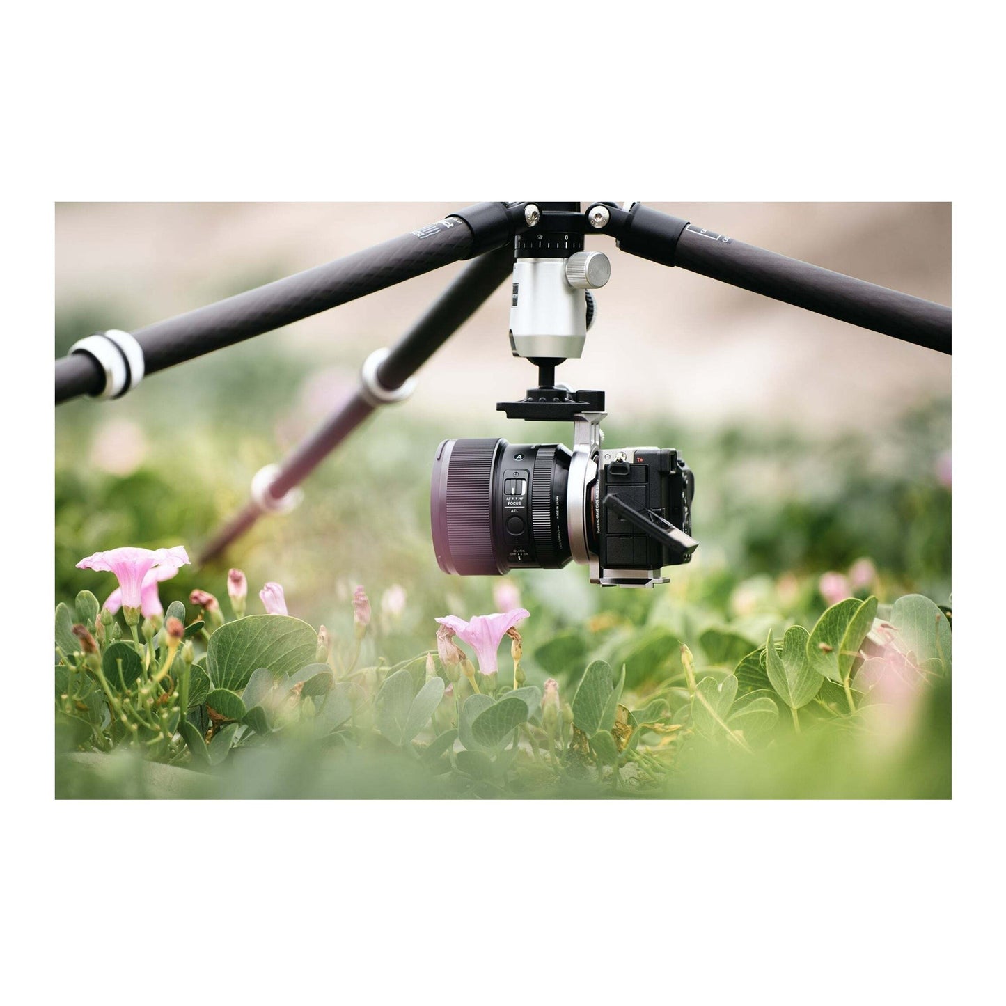 Silence Corner, Easy, Faster, Lighter, Flexible Atoll D for DSLR Cameras