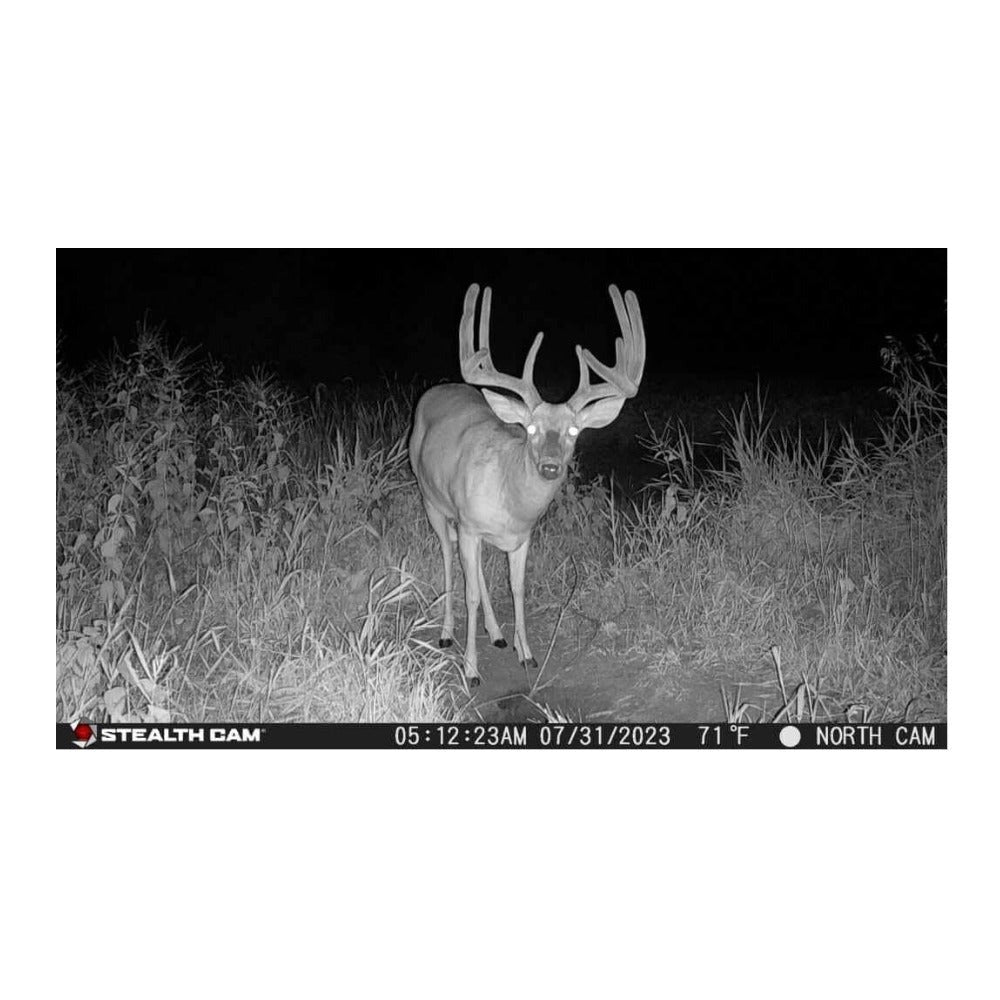 Stealth Cam Fusion X-Pro 36MP 720P Cellular Dual Sim Trail Camera