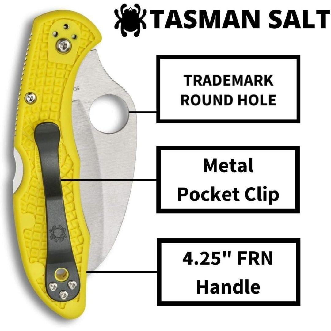 Spyderco Folding Knife Tasman Salt 2