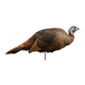 Montana Decoy Spring Fling Turkey Decoy - Foldable and Portable, Photo-Realistic