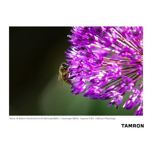 Tamron 18-300mm F/3.5-6.3 Di III-A VC VXD Lens (FUJIFILM X-Mount)