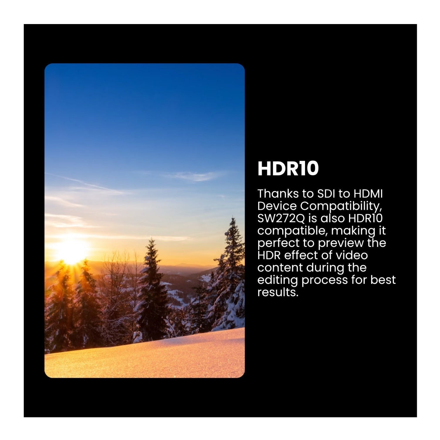 BenQ PhotoVue SW272Q 27-Inch 1440p HDR Monitor (Black) Bundle
