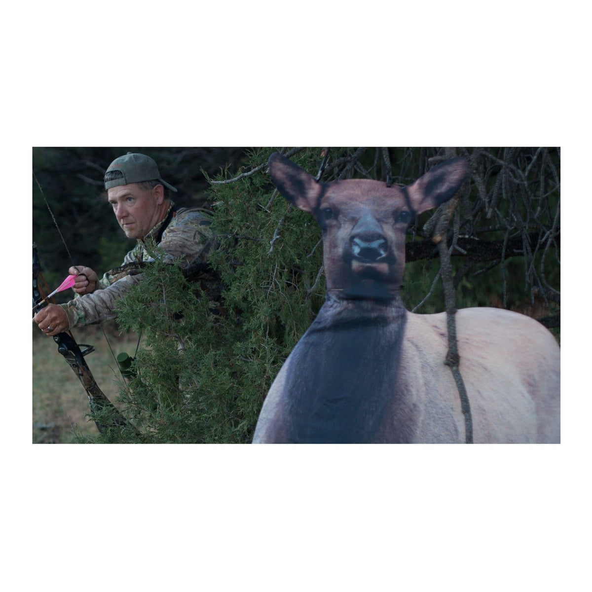 Montana Decoy Eichler Elk - Ultra-Portable, Full-Body Designed by Fred Eichler